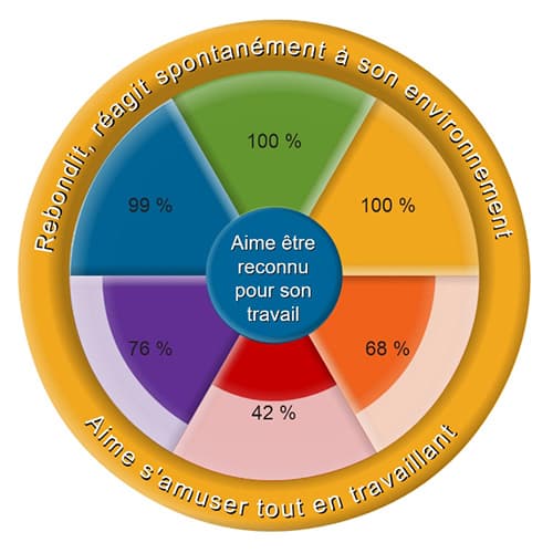 Diagramme ComColors montrant la couleur dominante jaune et secondaire bleue après  l'entretien de validation