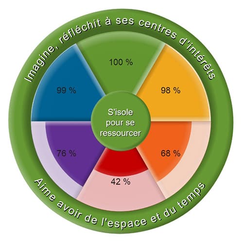 Diagramme ComColors montrant la couleur dominante vert et secondaire verte avant l'entretien de validation